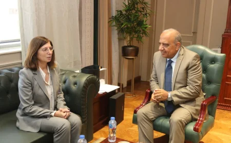 وزير الكهرباء يبحث مع سفيرة قبرص دعم الربط الكهربائي وزيادة الاستثمارات في الطاقة المتجددة
