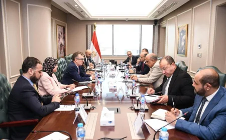 وزيرا الكهرباء والتخطيط يبحثان مشروعات تحلية مياه البحر وتعظيم الاستفادة من البنية الأساسية لمحطات الكهرباء
