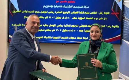 الشركة المصرية لنقل الكهرباء توقع عقدين مع السويدي إلكتريك لربط محطة الضبعة النووية بالشبكة القومية