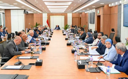 35.7 مليار جنيه إيرادات و5.9 مليار أرباح.. خريطة توسعات «القابضة للتشييد» في مصر والخارج