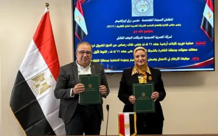 الشركة المصرية لنقل الكهرباء توقع عقدًا مع المصرية الصينية لتوريد كابلات أرضية جهد 66 ك.ف