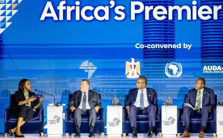 البنك المركزي: مصر تعزز الروابط المالية والمصرفية مع أفريقيا بـ15 مذكرة تفاهم