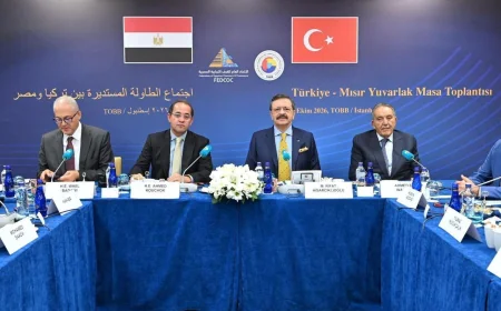 وزير المالية: تحسن النشاط الاقتصادي في مصر ونستهدف جذب المزيد من الاستثمارات التركية
