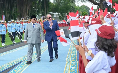 الرئيس السيسي يوجه رسالة شكر للرئيس الإندونيسي في ختام زيارته إلى جاكرتا