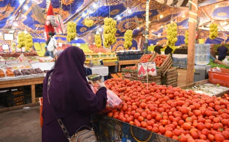 جولة رقابية للتموين بالإسماعيلية.. صوامع بسعة 30 ألف طن ومطاحن لإنتاج الدقيق