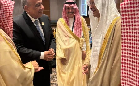 مصر والسعودية تستعدان لتدشين الربط الكهربائي بقدرة 3000 ميجاوات خلال أسابيع