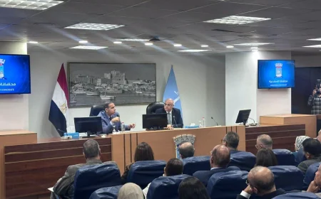 رئيس الرقابة المالية ومحافظ الإسكندرية يستعرضان فرص وتحديات القطاع المالي غير المصرفي