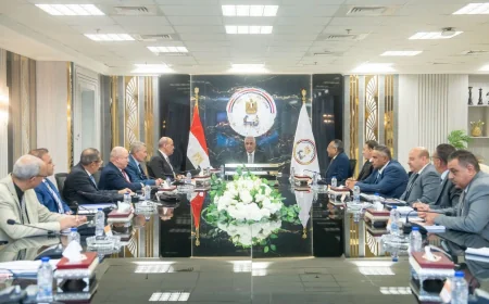 وزير الإنتاج الحربي يتابع تنفيذ مشروعات «حياة كريمة» ويوجه بسرعة الانتهاء منها