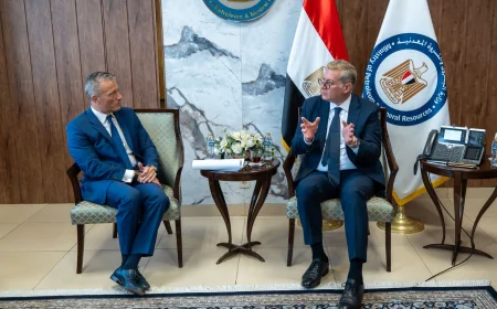 البترول غير التقليدي يفتح بابًا جديدًا لزيادة إنتاج مصر من الزيت الخام بالصحراء الغربية